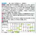 画像2: [キャベツ]　金系201号　約65粒　サカタ交配　　実咲 (2)