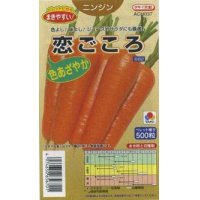 [人参]　恋ごころ　ペレット５００粒　タキイ種苗（株）