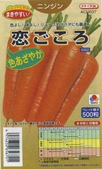 [人参]　恋ごころ　ペレット５００粒　タキイ種苗（株）