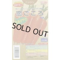 送料無料　[人参]　恋ごころ　ペレット500粒　タキイ種苗(株)