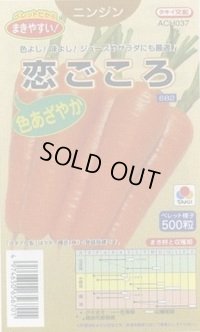 送料無料　[人参]　恋ごころ　ペレット500粒　タキイ種苗(株)