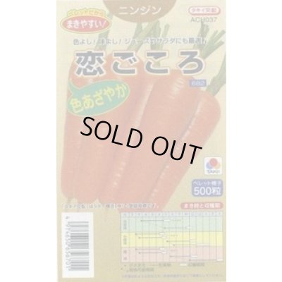 画像1: 送料無料　[人参]　恋ごころ　ペレット500粒　タキイ種苗(株)