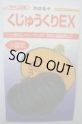 送料無料　[かぼちゃ]　くじゅうくりEX南瓜　50粒　カネコ種苗（株）