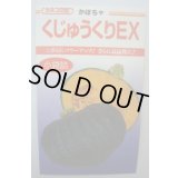 送料無料　[かぼちゃ]　くじゅうくりEX南瓜　50粒　カネコ種苗（株）