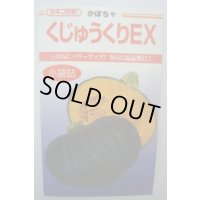 送料無料　[かぼちゃ]　くじゅうくりEX南瓜　50粒　カネコ種苗（株）