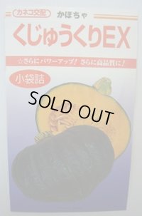 送料無料　[かぼちゃ]　くじゅうくりEX南瓜　50粒　カネコ種苗（株）