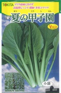 [小松菜]　夏の甲子園　10ml　トキタ種苗（株）