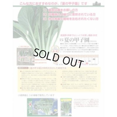 画像3: 送料無料　[小松菜]　夏の甲子園　1L　トキタ種苗(株)