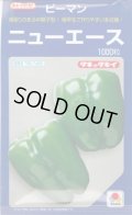 送料無料　[ピーマン]　ニューエース　1000粒　タキイ種苗(株)