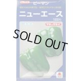 送料無料　[ピーマン]　ニューエース　1000粒　タキイ種苗(株)