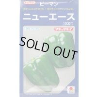 送料無料　[ピーマン]　ニューエース　1000粒　タキイ種苗(株)