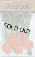 送料無料　[人参]　パックン丸　5ml　(株)タカヤマシード
