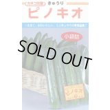 送料無料　[キュウリ]　ピノキオ　20粒　カネコ種苗（株）