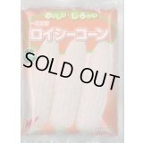 送料無料[とうもろこし]　ロイシーコーン　(株)　2000粒　渡辺農事（株）