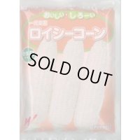 送料無料[とうもろこし]　ロイシーコーン　(株)　2000粒　渡辺農事（株）