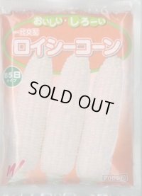 送料無料[とうもろこし]　ロイシーコーン　(株)　2000粒　渡辺農事（株）