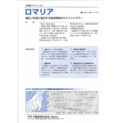 画像3: 送料無料　[レタス]　ロメインレタス　ロマリア　100粒　ペレット種子　タキイ種苗(株)
