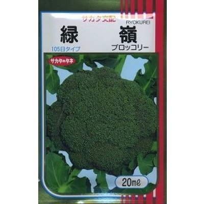 画像1: 送料無料　[ブロッコリー]　緑嶺　20ml　(株)サカタのタネ