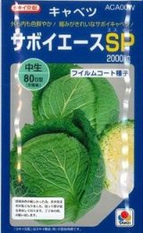送料無料　[キャベツ]　サボイエースSP　2000粒　タキイ種苗(株)