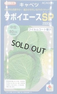 送料無料 [キャベツ] サボイエースSP 2000粒 タキイ種苗(株)