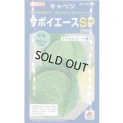 画像1: [キャベツ] サボイエースSP 2000粒 タキイ種苗(株)