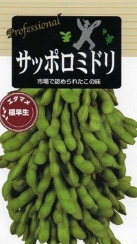 [枝豆]　サッポロミドリ　70ml　（およそ130粒）雪印種苗（株）