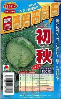 [キャベツ]　初秋　150粒 ペレット種子　タキイ種苗（株）