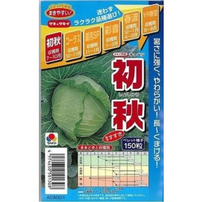画像1: 送料無料　[キャベツ]　初秋　150粒　ペレット種子　タキイ種苗(株)