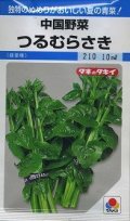 送料無料　[中国野菜]　つるむらさき　9ml　タキイ種苗　MF