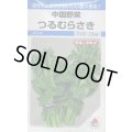 送料無料　[中国野菜]　つるむらさき　9ml　タキイ種苗　MF