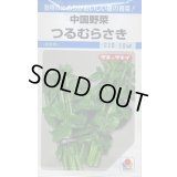 送料無料　[中国野菜]　つるむらさき　9ml　タキイ種苗　MF