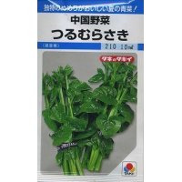 [中国野菜]　つるむらさき　9ml　タキイ種苗　MF