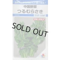 送料無料　[中国野菜]　つるむらさき　9ml　タキイ種苗　MF