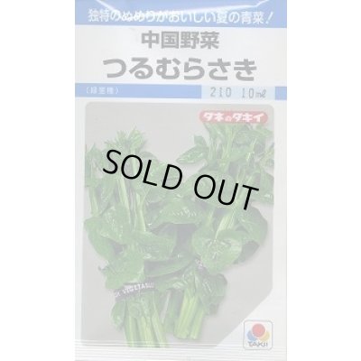 画像1: 送料無料　つるむらさき　9ml　タキイ種苗　MF
