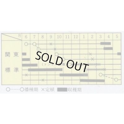 画像2: 送料無料 [ねぎ] 緑秀 (小ねぎ) 1L （株）サカタのタネ