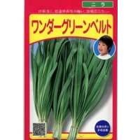送料無料　[葉物]　ニラ　ワンダーグリーンベルト　20ml(およそ2,160粒)（株）武蔵野種苗園