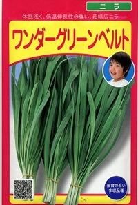 送料無料　[葉物]　ニラ　ワンダーグリーンベルト　20ml(およそ2,160粒)（株）武蔵野種苗園