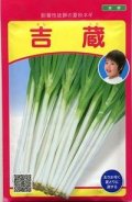 送料無料　[ねぎ]　吉蔵　20ml　（株）武蔵野種苗園