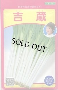 送料無料　[ねぎ]　吉蔵　20ml　武蔵野種苗園