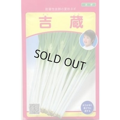 画像1: 送料無料　[ねぎ]　吉蔵　20ml　武蔵野種苗園