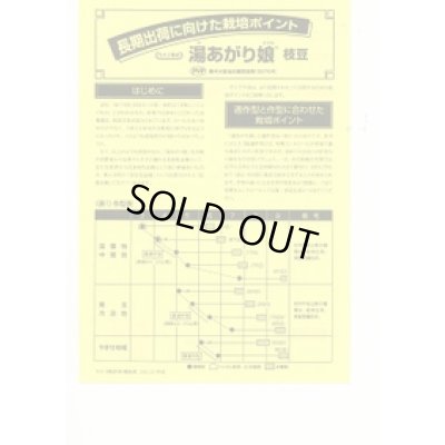 画像2: 送料無料　[枝豆]　湯あがり娘　約100粒　カネコ種苗（株）(株)