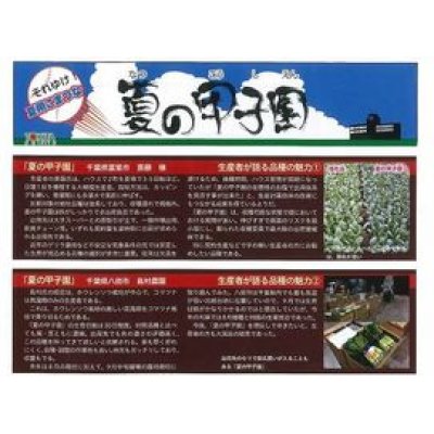 画像2: [小松菜]　送料無料！　夏の甲子園　1L　トキタ種苗（株）