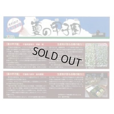 画像2: 送料無料　[小松菜]　夏の甲子園　1L　トキタ種苗(株)