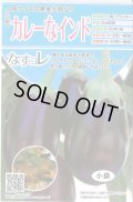 送料無料　[なす]　カレーなインド　20粒　トキタ種苗(株)