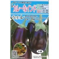 [なす]　カレーなインド　20粒　トキタ種苗（株）