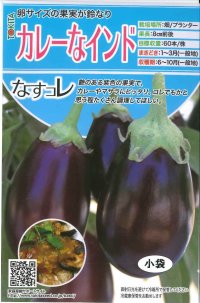 [なす]　カレーなインド　20粒　トキタ種苗（株）