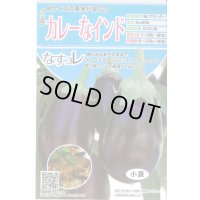 送料無料　[なす]　カレーなインド　20粒　トキタ種苗(株)