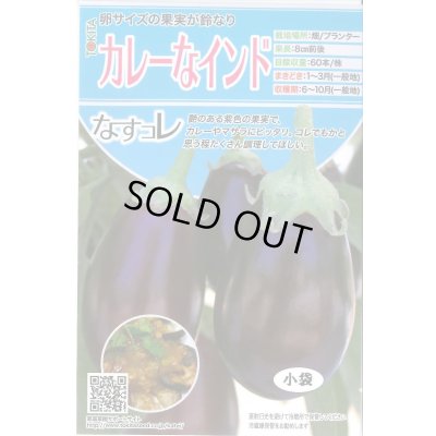 画像1: 送料無料　[なす]　カレーなインド　20粒　トキタ種苗(株)