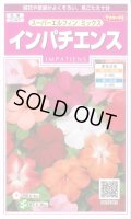 送料無料　花の種　インパチェンス　スーパーエルフィンミックス　約25粒　(株)サカタのタネ　実咲350　（026094）