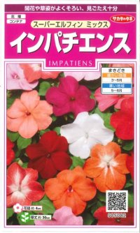 花の種　インパチェンス　スーパーエルフィンミックス　約25粒　　サカタのタネ（株）実咲350